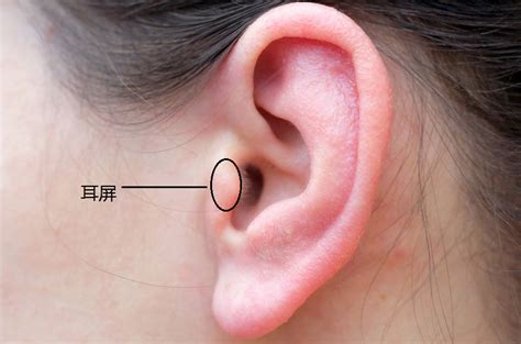 左耳耳鸣代表什么 門樞紐